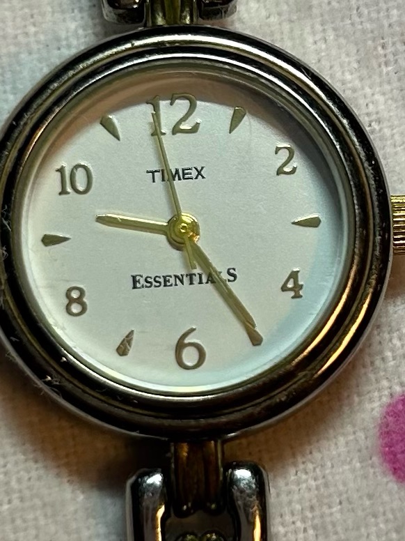 Timex Silver Watch With Gold Accents